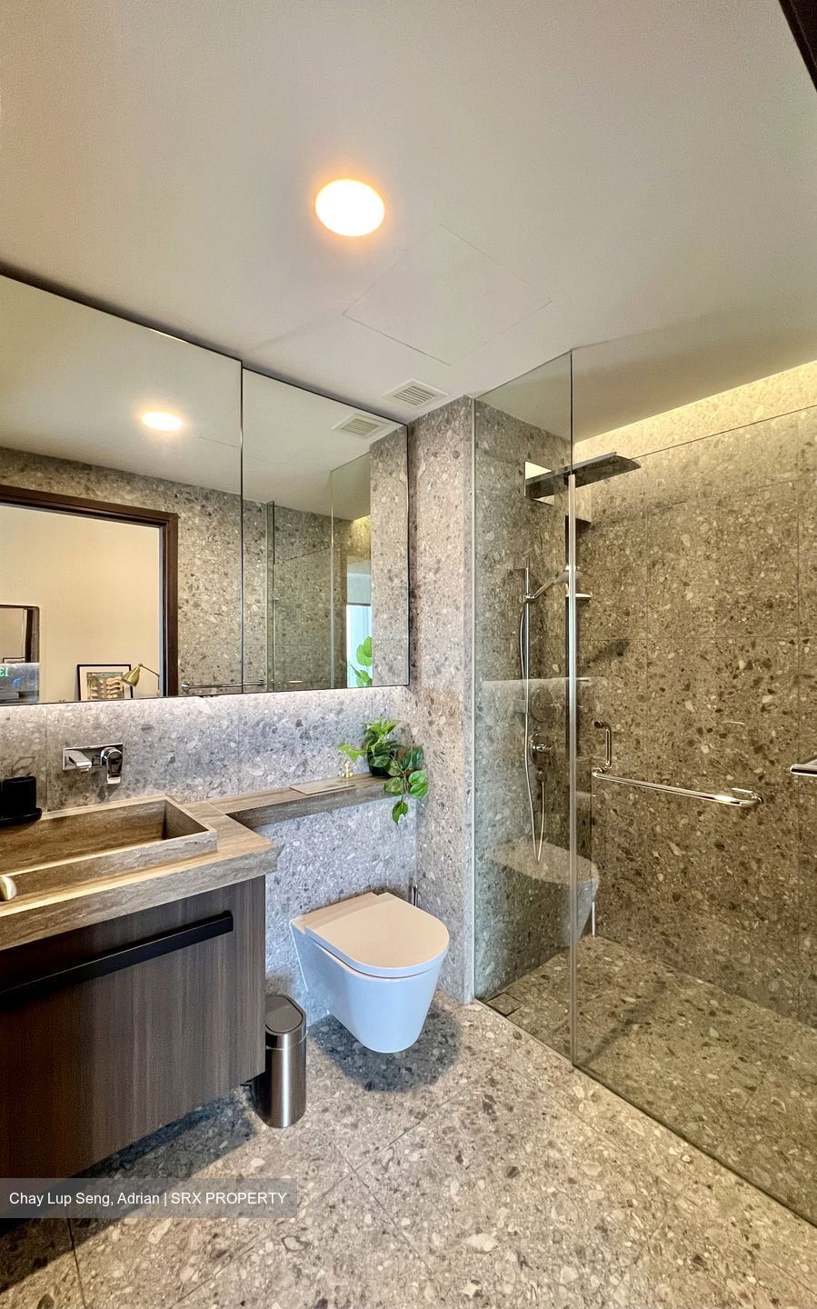 One Pearl Bank (D3), Apartment #561146001